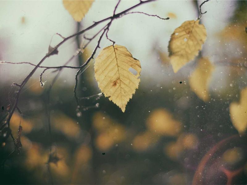 机械姬<br>qyi4ujty.cn AI 图灵测试场
